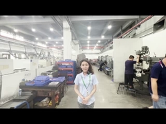 জেডেক ট্রেজ মোল্ড প্রক্রিয়াকরণ কর্মশালা